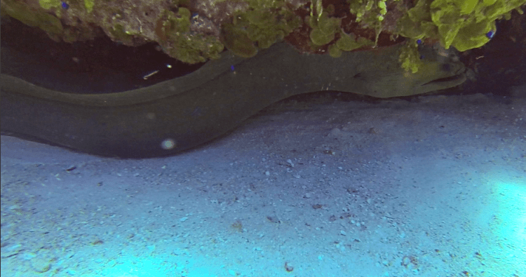 Screen shot 2016-06-12 at 7.31.11 AM